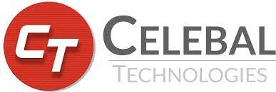 Celebal Technologies Private limited