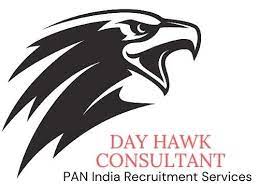 Day Hawk Consultant
