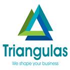 Triangulas HR Solutions LLP