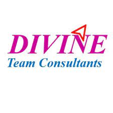 Divine Team Consultants