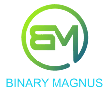 BinaryMagnus Solutions Private Limited